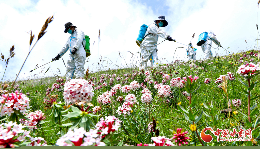 “三北”工程林草濕荒一體化保護修復(fù)鏖戰(zhàn)正酣