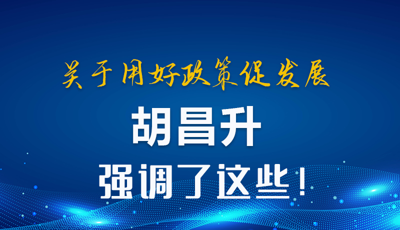圖解|關(guān)于用好政策促發(fā)展 胡昌升強(qiáng)調(diào)了這些！