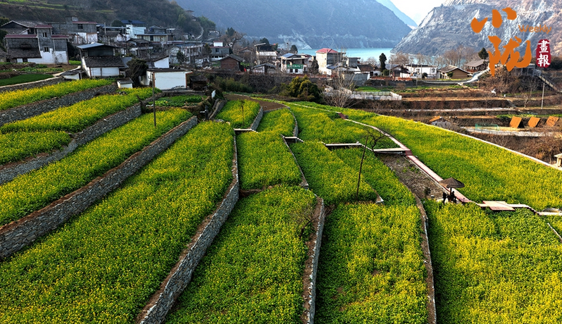 【小隴畫報(bào)·473期】春到文縣早 花開(kāi)碧水間